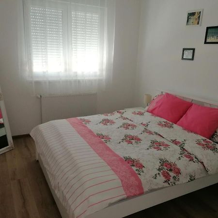 Apartman Mila, Banja Koviljaca Luaran gambar