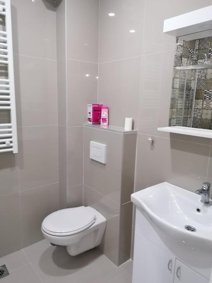 Apartman Mila, Banja Koviljaca Luaran gambar