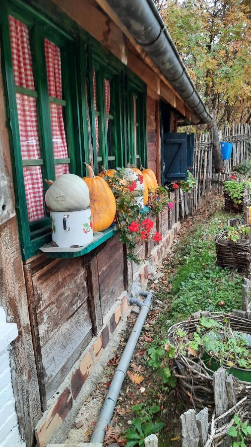Apartman Mila, Banja Koviljaca Luaran gambar