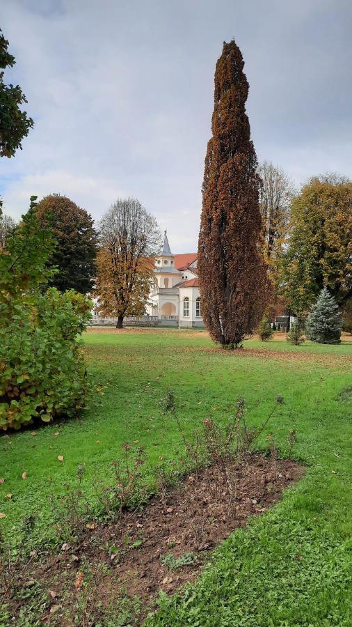 Apartman Mila, Banja Koviljaca Luaran gambar