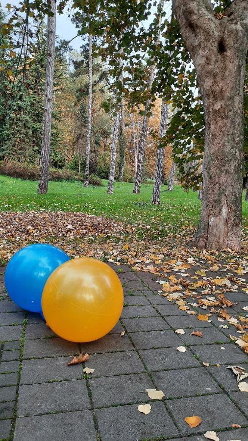Apartman Mila, Banja Koviljaca Luaran gambar